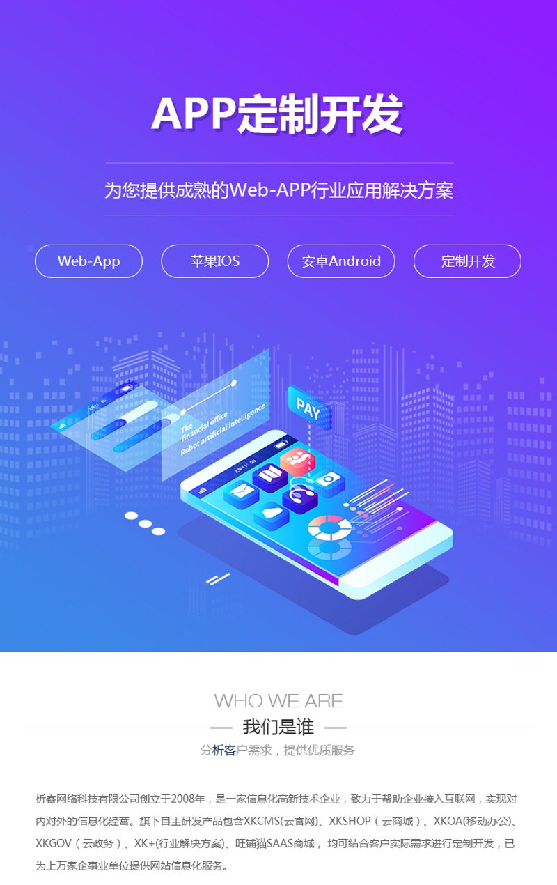 北京网络公司的崛起:市场趋势与竞争格局